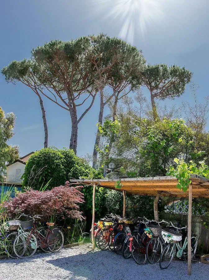 Bed & Breakfast B&B Due Passi Dal Mare Cinquale